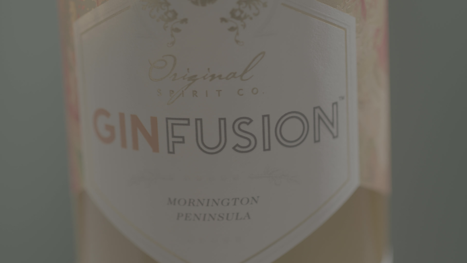 GinFusion before