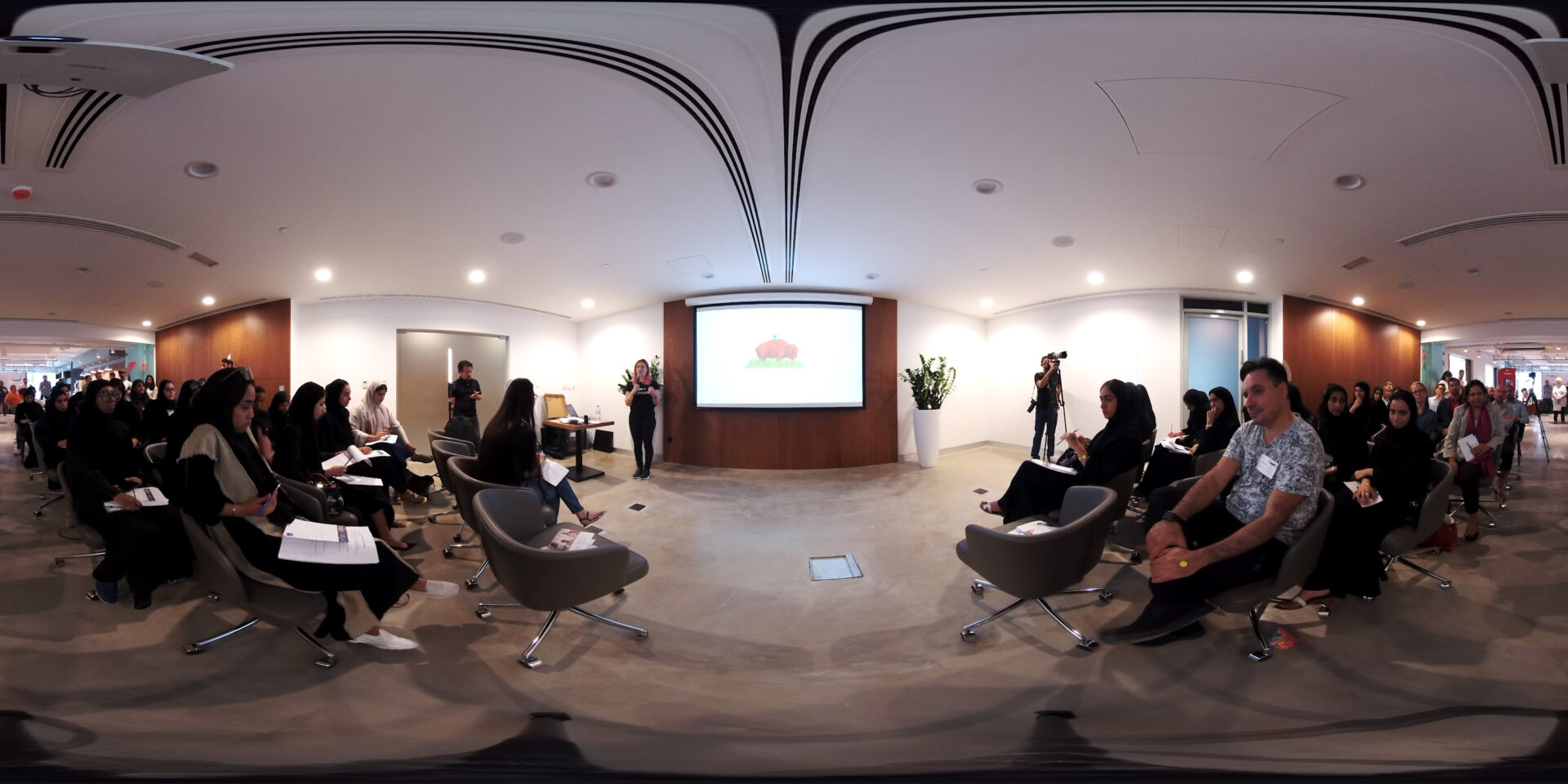 Immersive Video